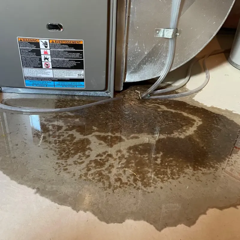 Appliance Leak Cleanup in Sturgis, SD